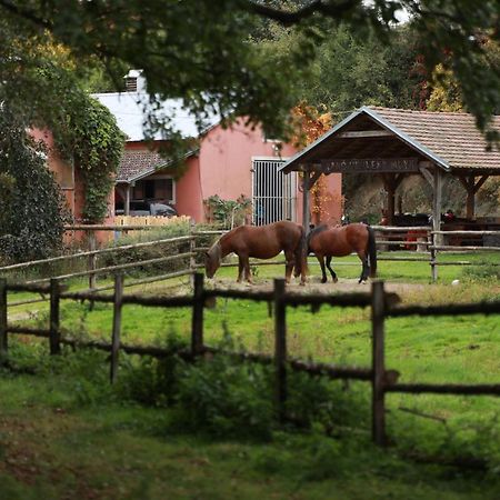 Villa Ranc Cerveny Mlyn Lisov  Esterno foto