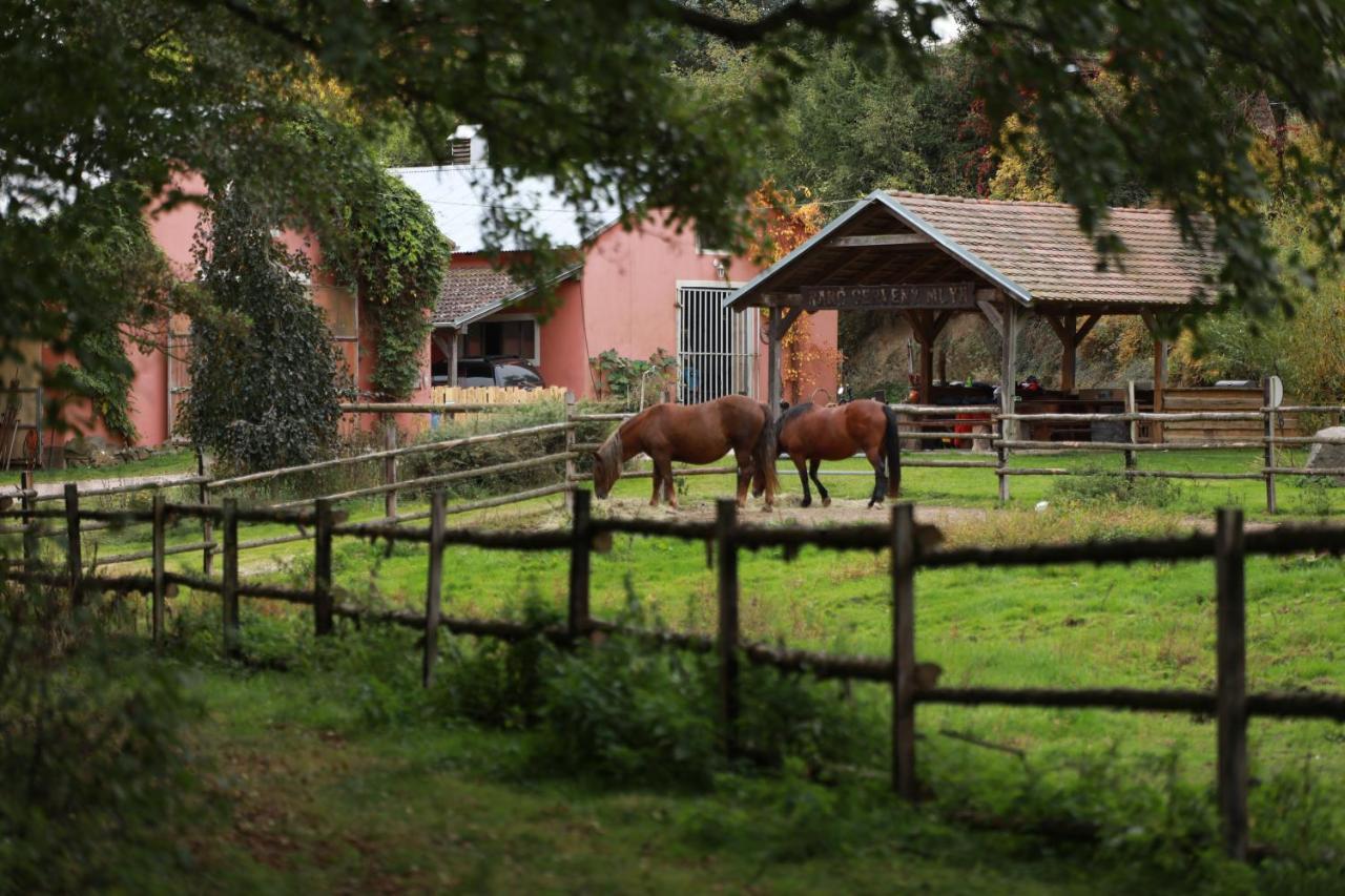 Villa Ranc Cerveny Mlyn Lisov  Esterno foto